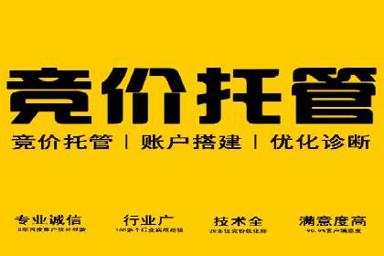 sem账户托管案例：从零到一的营销增长之路